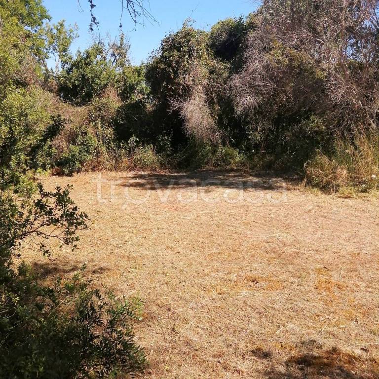 immagine annuncio 6 di 14