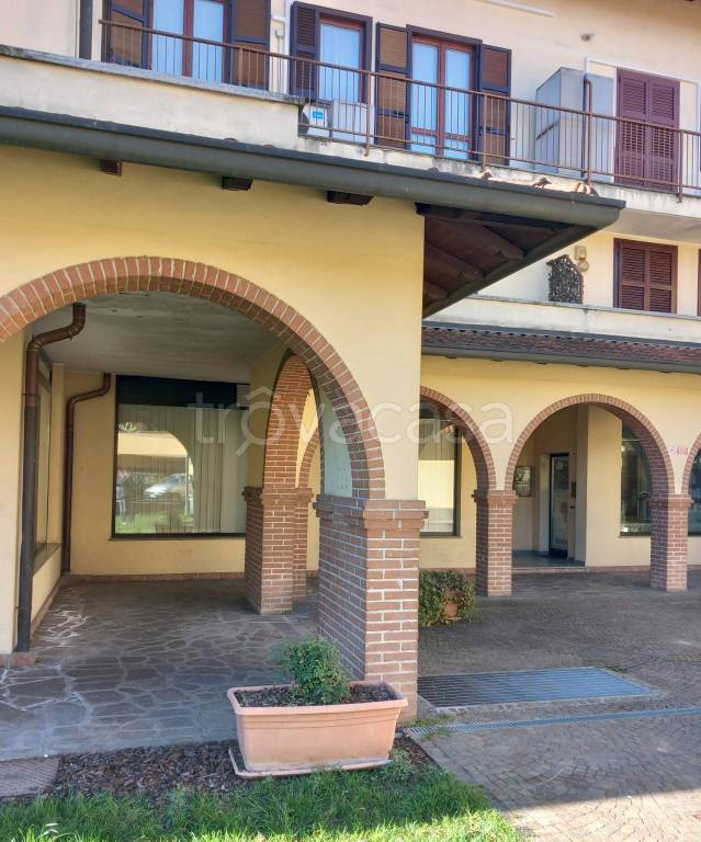 immagine annuncio 5 di 6