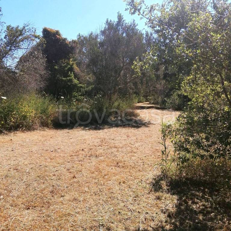 immagine annuncio 8 di 14