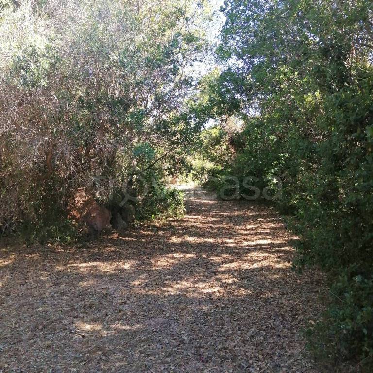 immagine annuncio 10 di 14