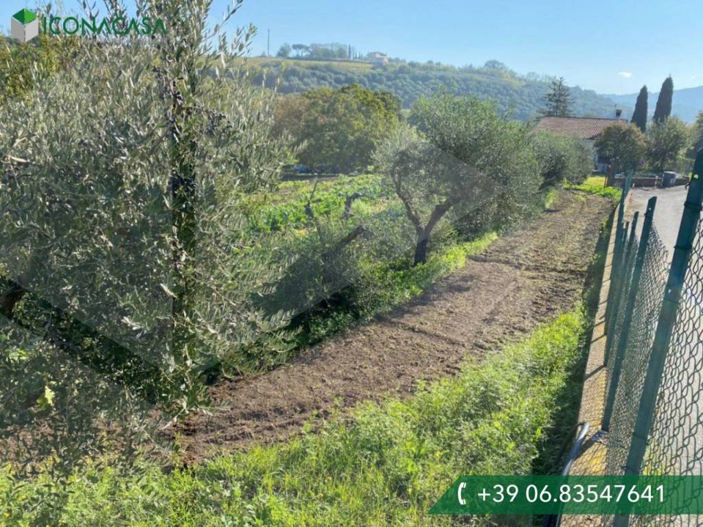 immagine annuncio 4 di 7