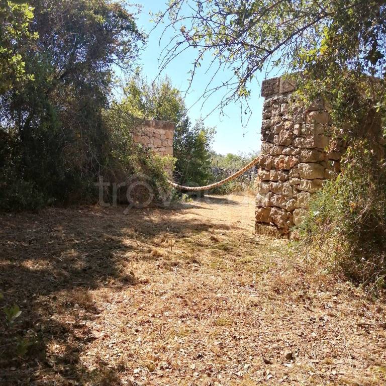 immagine annuncio 12 di 14