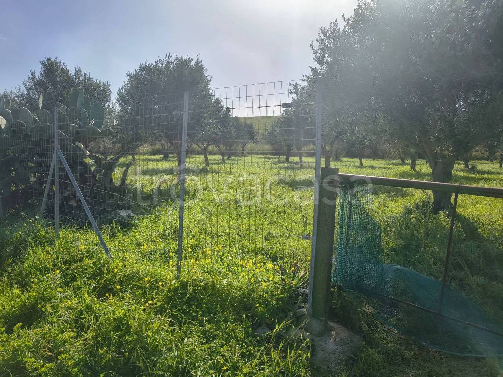 immagine annuncio 4 di 9