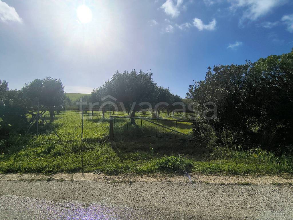 immagine annuncio 8 di 9