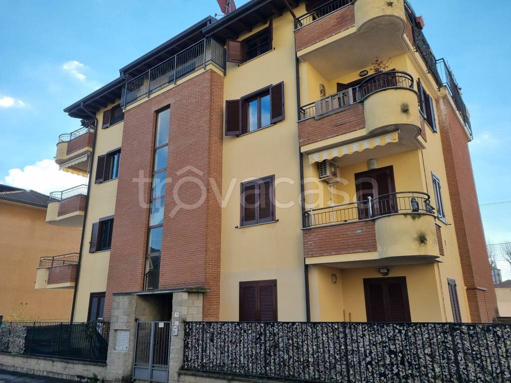 immagine annuncio 1 di 15