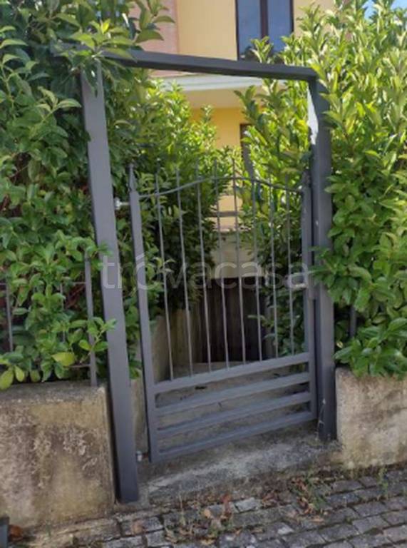 immagine annuncio 3 di 11