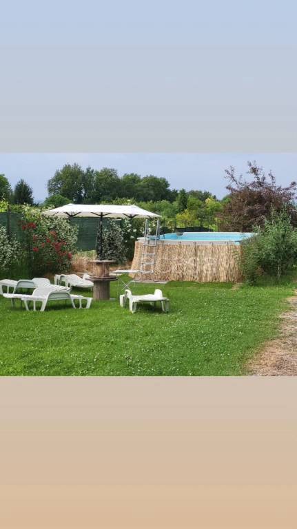 immagine annuncio 5 di 11