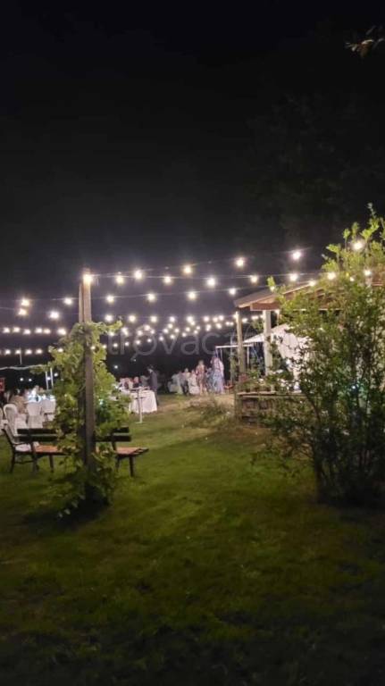 immagine annuncio 10 di 11