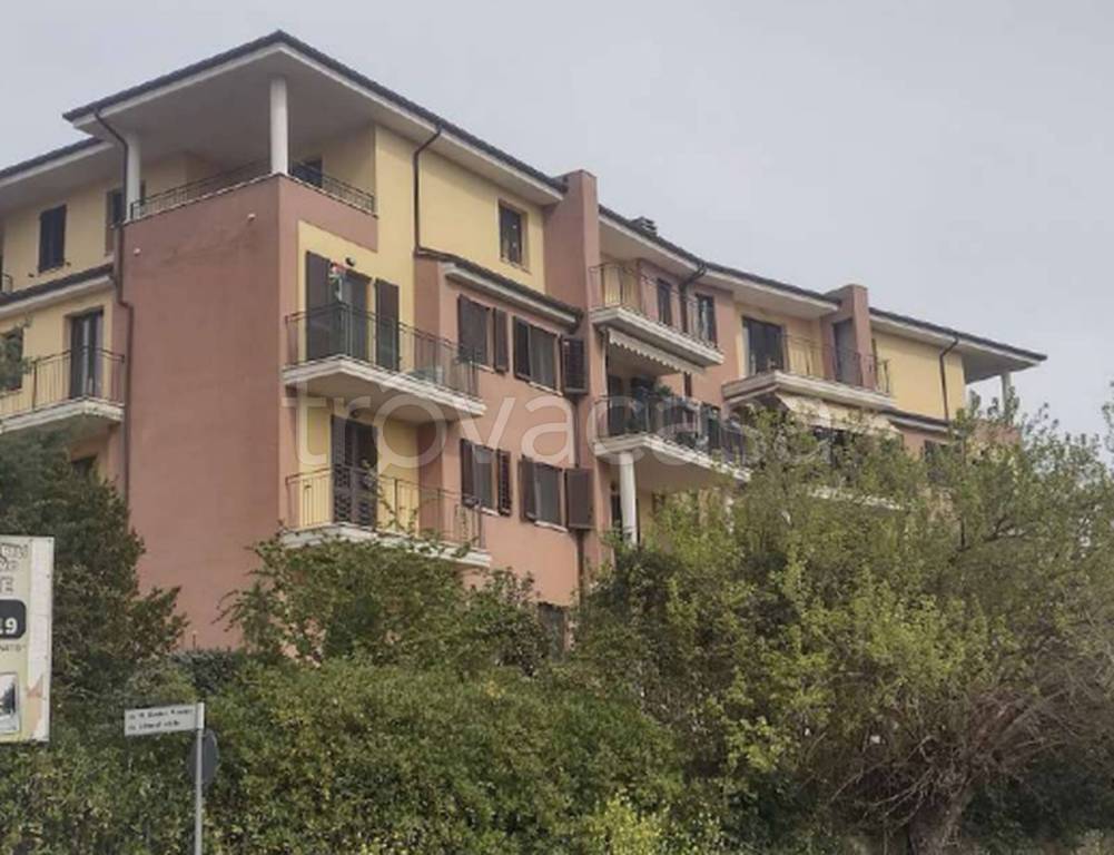 immagine annuncio 10 di 11