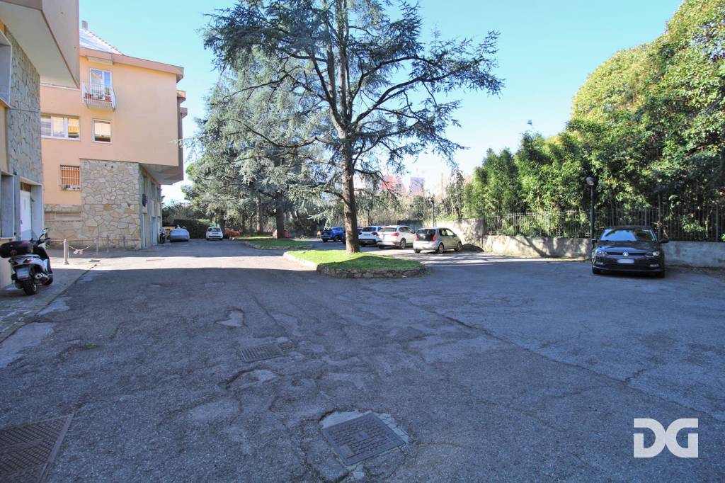 immagine annuncio 11 di 13