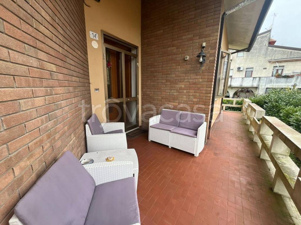 immagine annuncio 9 di 15