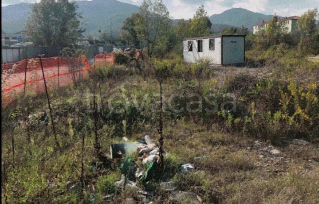 immagine annuncio 1 di 11