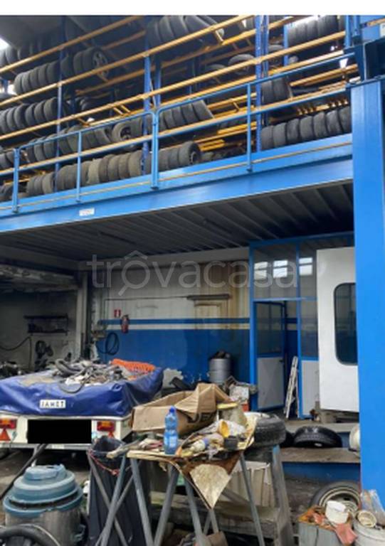 immagine annuncio 5 di 12