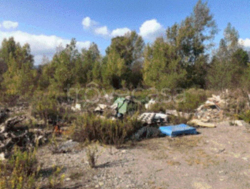 immagine annuncio 5 di 11