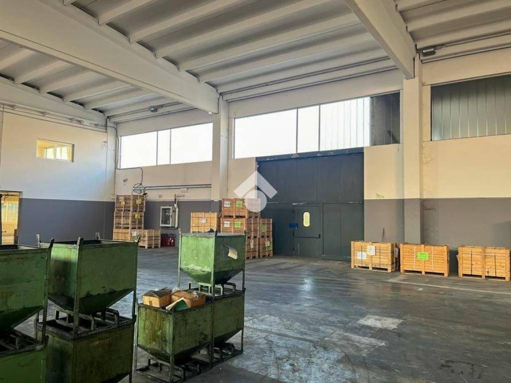 immagine annuncio 1 di 10