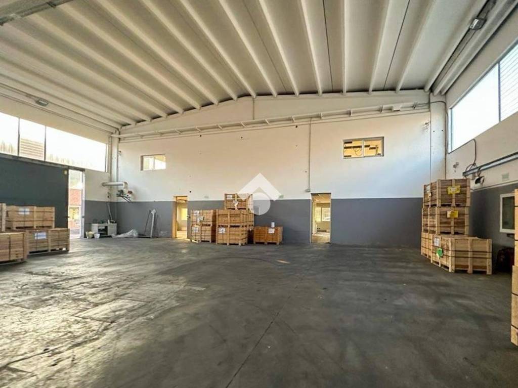 immagine annuncio 2 di 10