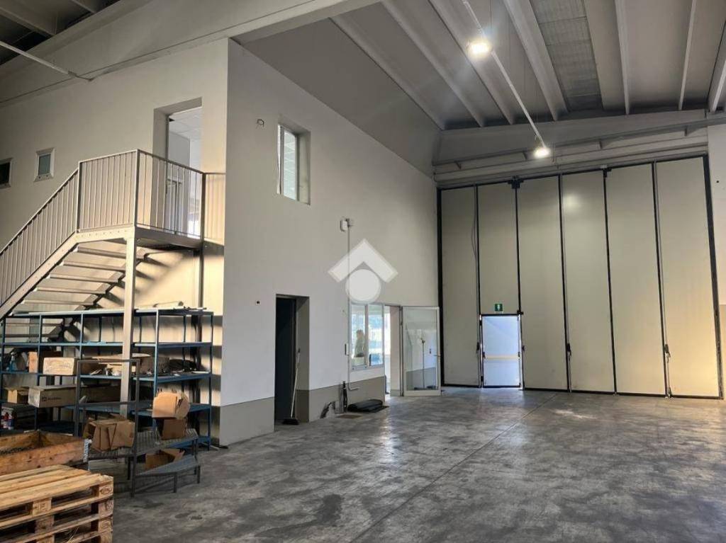 immagine annuncio 3 di 10