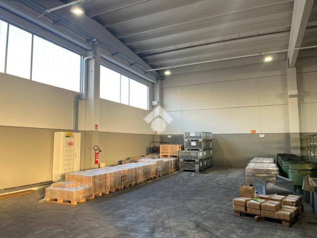 immagine annuncio 5 di 10