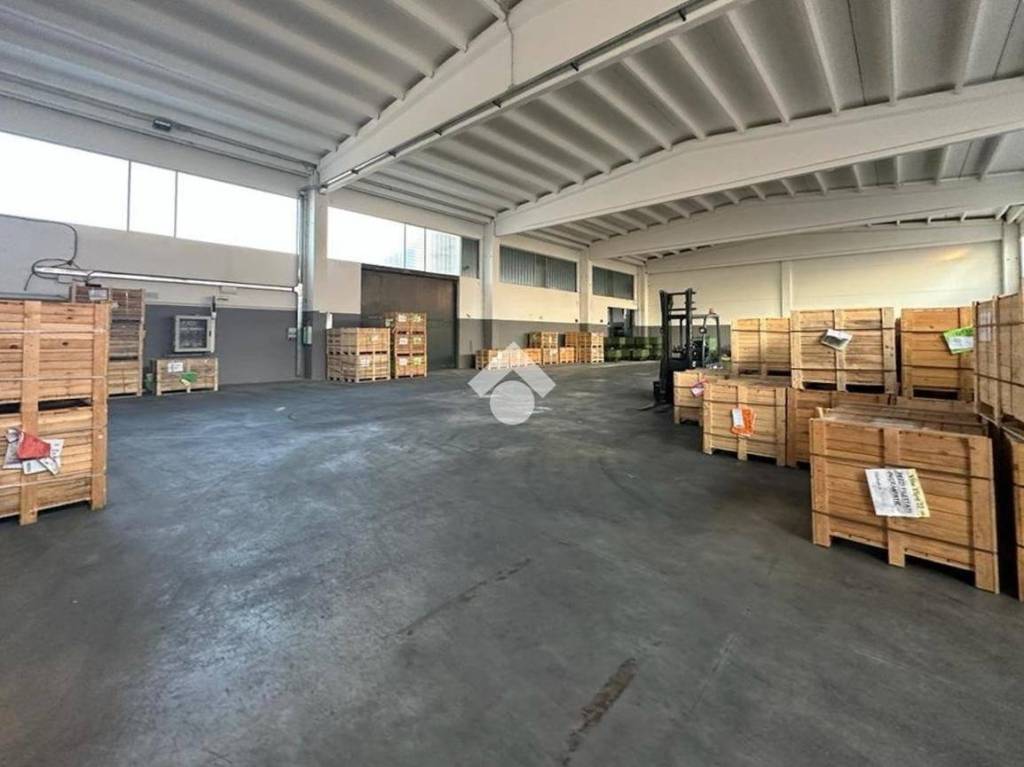 immagine annuncio 6 di 10