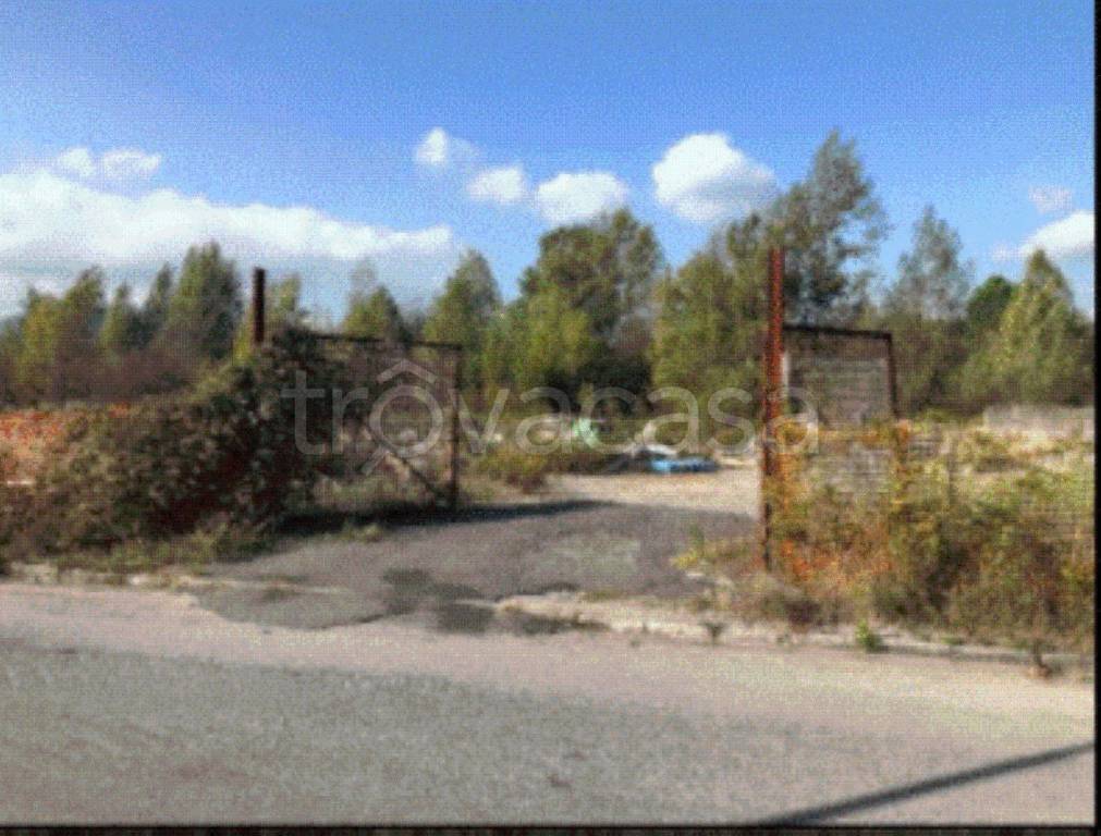 immagine annuncio 7 di 11