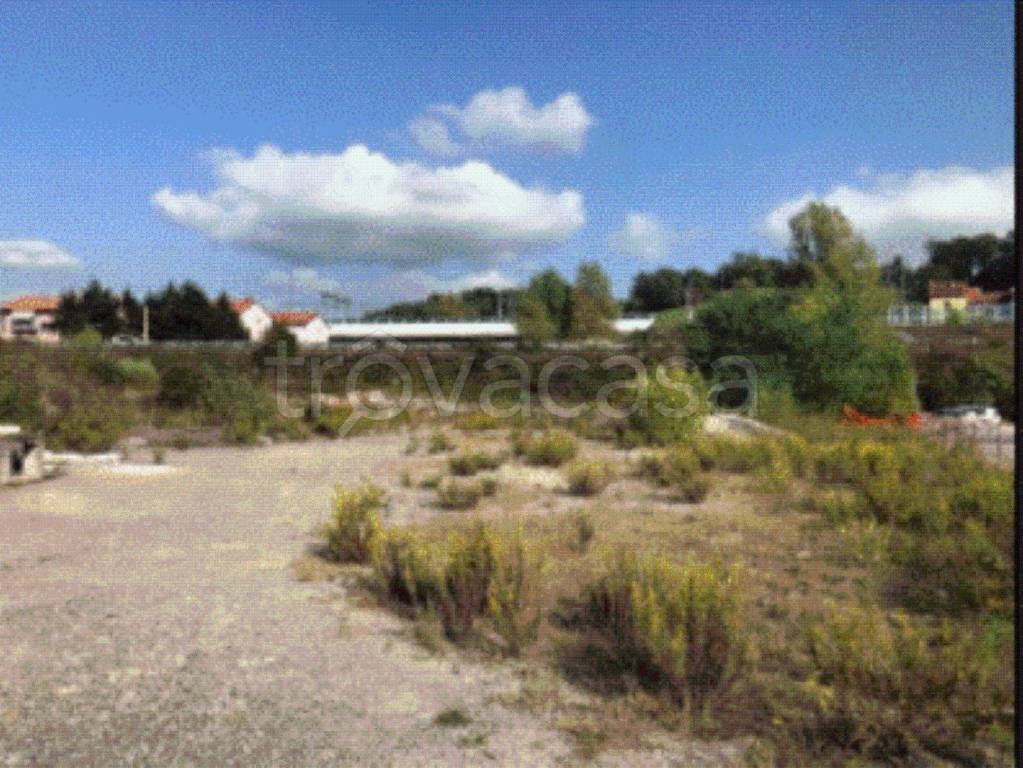 immagine annuncio 9 di 11