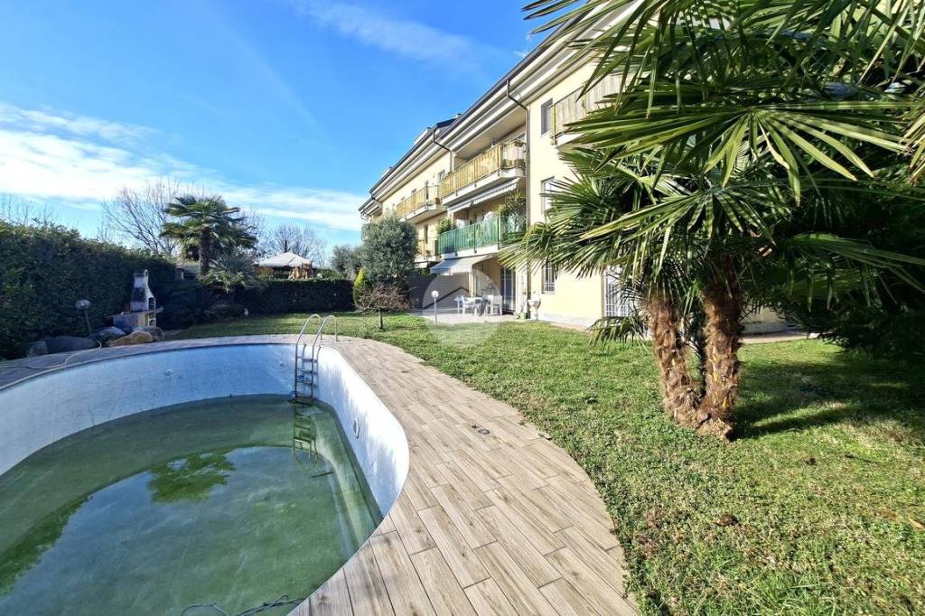 immagine annuncio 9 di 15