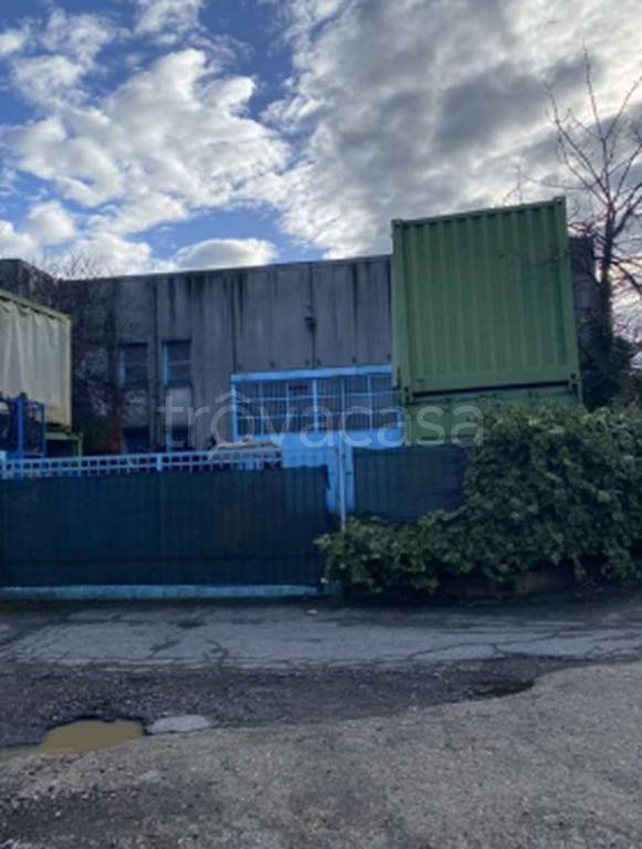 immagine annuncio 11 di 12