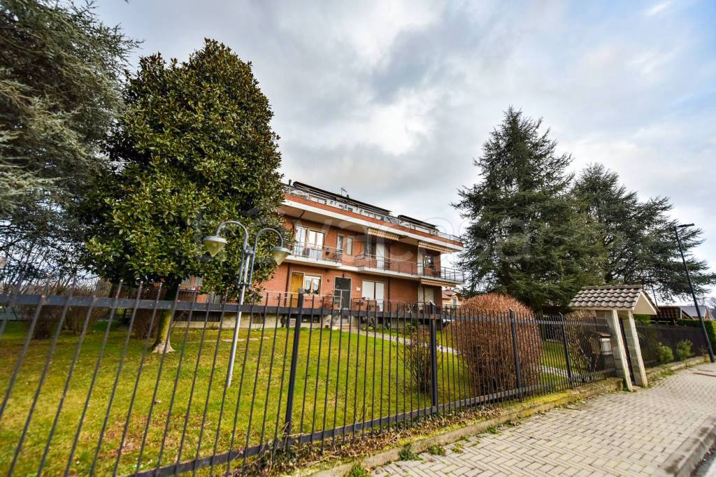 immagine annuncio 1 di 15