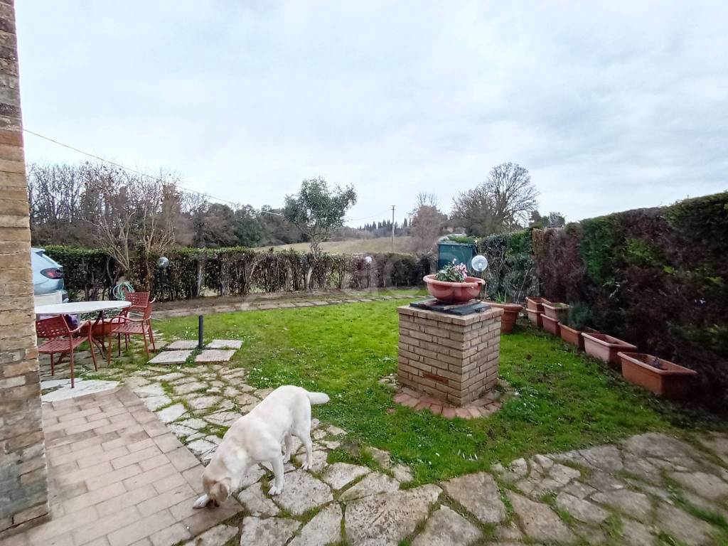 immagine annuncio 8 di 11