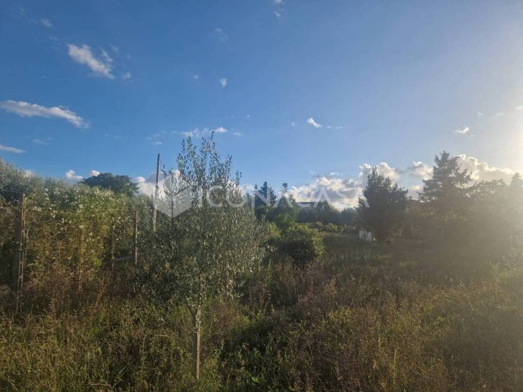 immagine annuncio 2 di 9