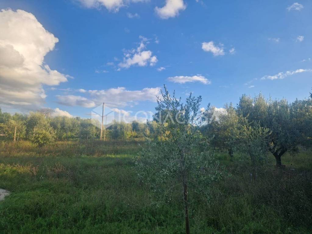 immagine annuncio 3 di 9