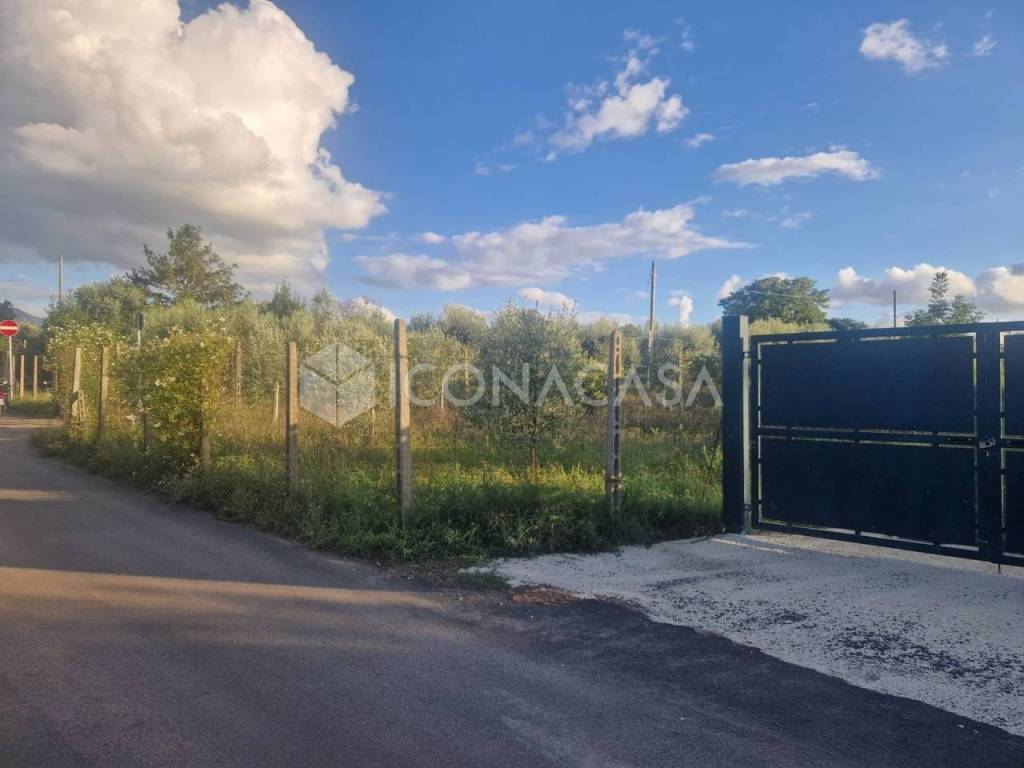 immagine annuncio 4 di 9