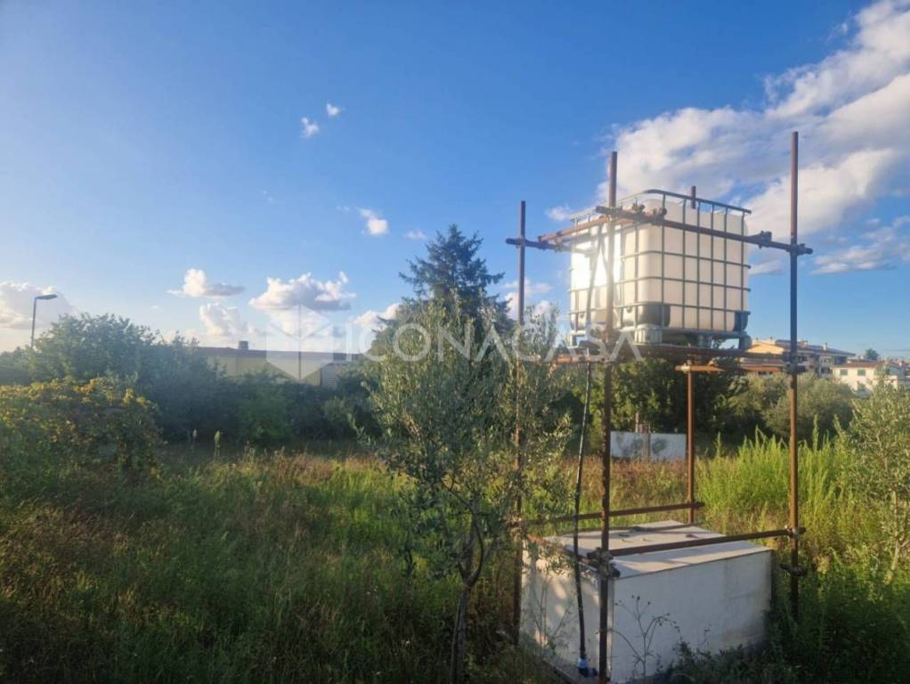 immagine annuncio 6 di 9