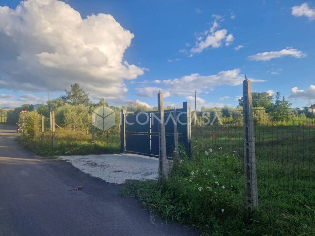 immagine annuncio 7 di 9