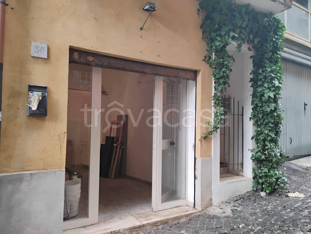 immagine annuncio 5 di 14