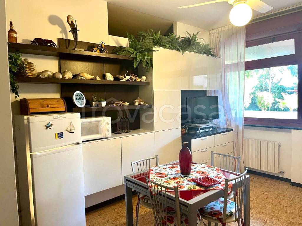 immagine annuncio 9 di 14