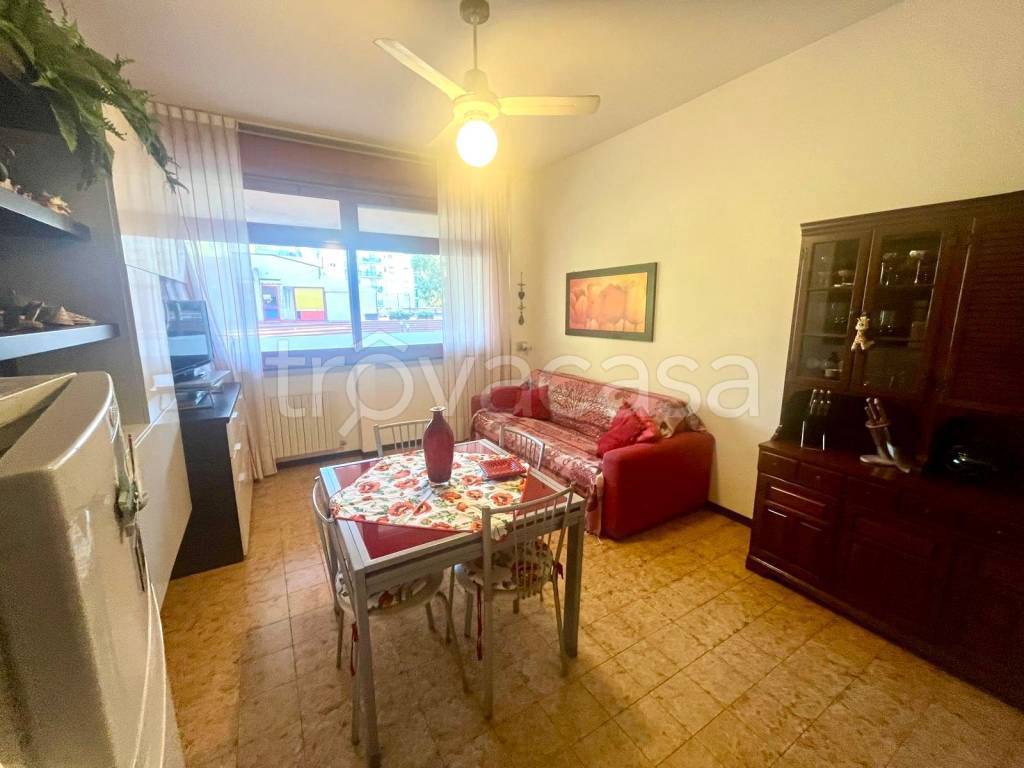 immagine annuncio 12 di 14