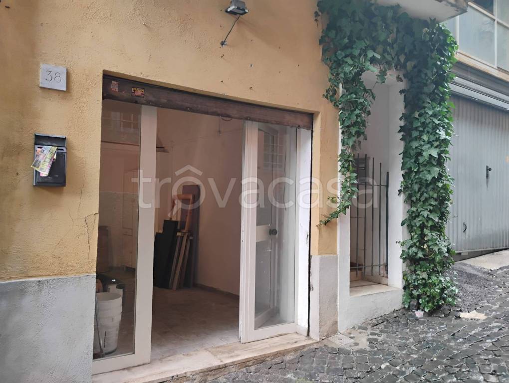 immagine annuncio 11 di 14