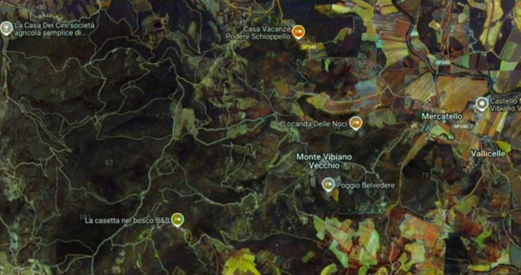 immagine annuncio 2 di 10