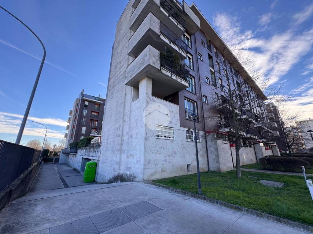 immagine annuncio 12 di 15