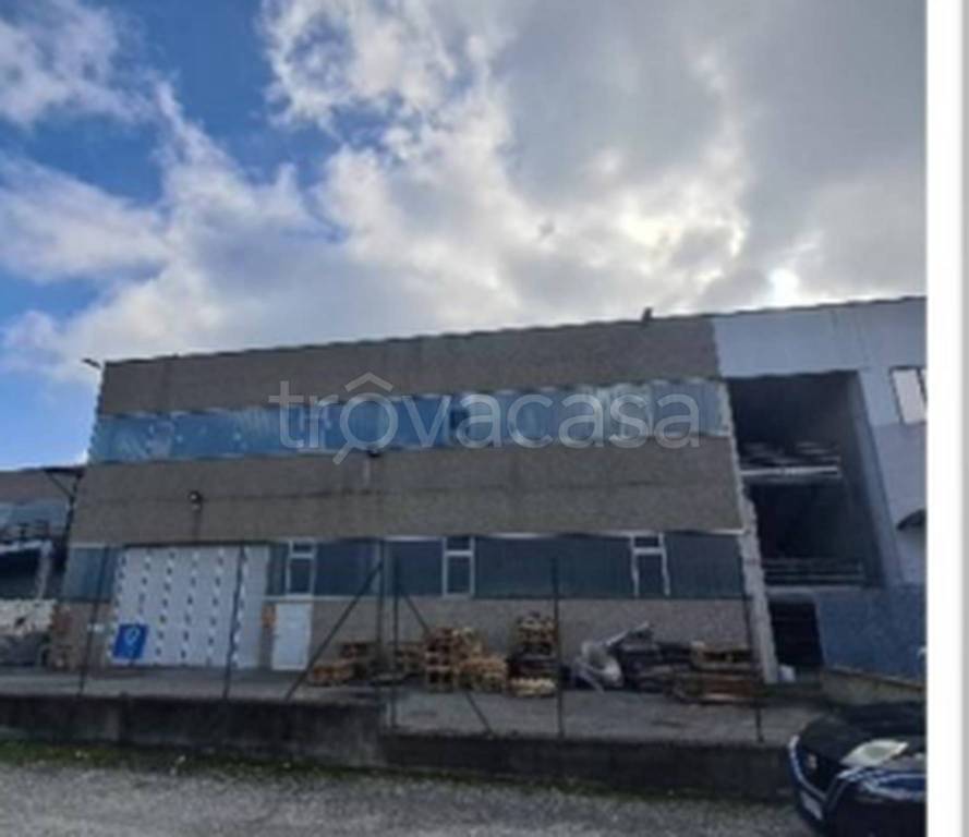 immagine annuncio 7 di 10