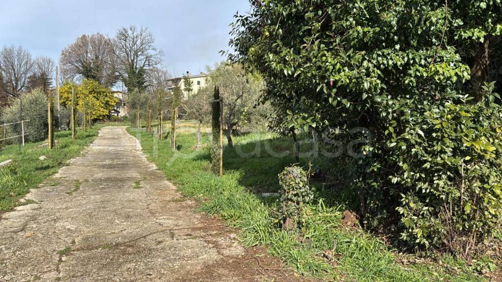 immagine annuncio 8 di 14