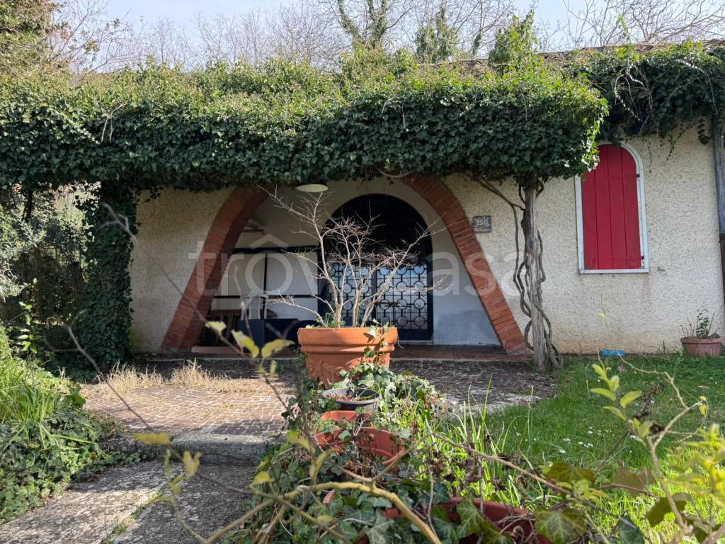 immagine annuncio 3 di 14