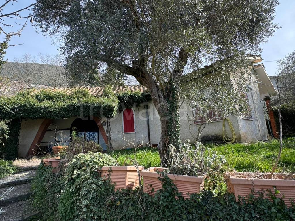 immagine annuncio 2 di 14