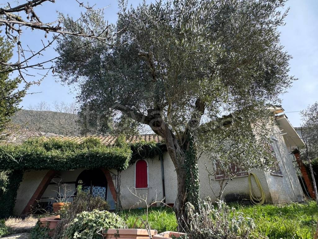 immagine annuncio 1 di 14