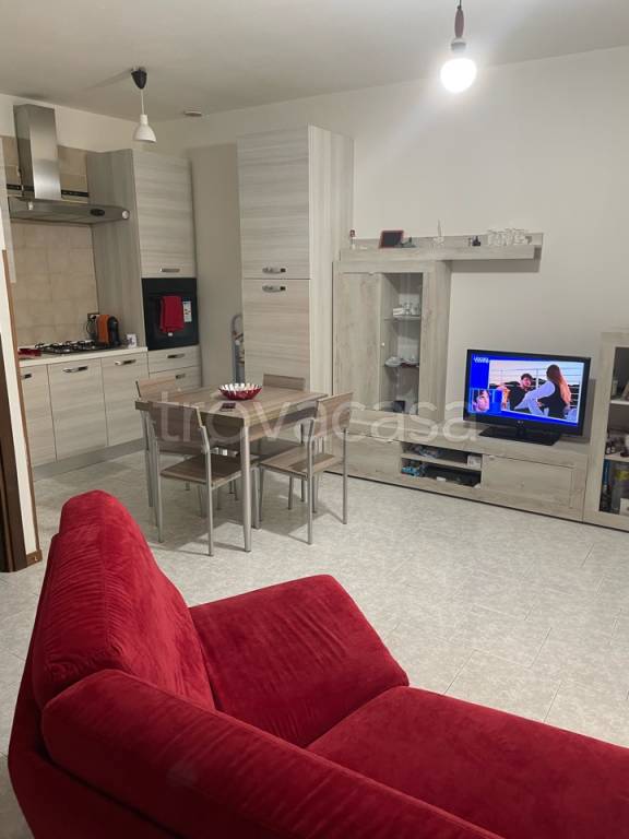 immagine annuncio 5 di 11