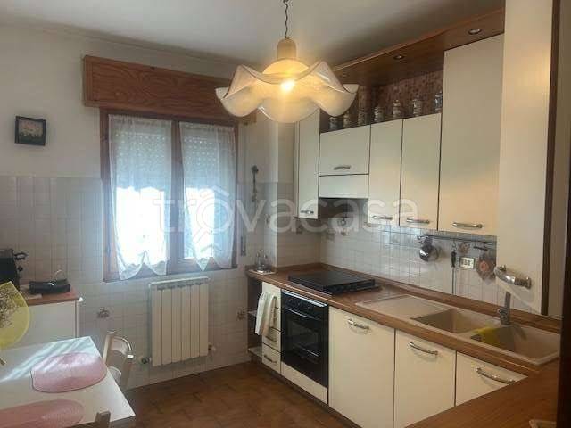 immagine annuncio 2 di 12