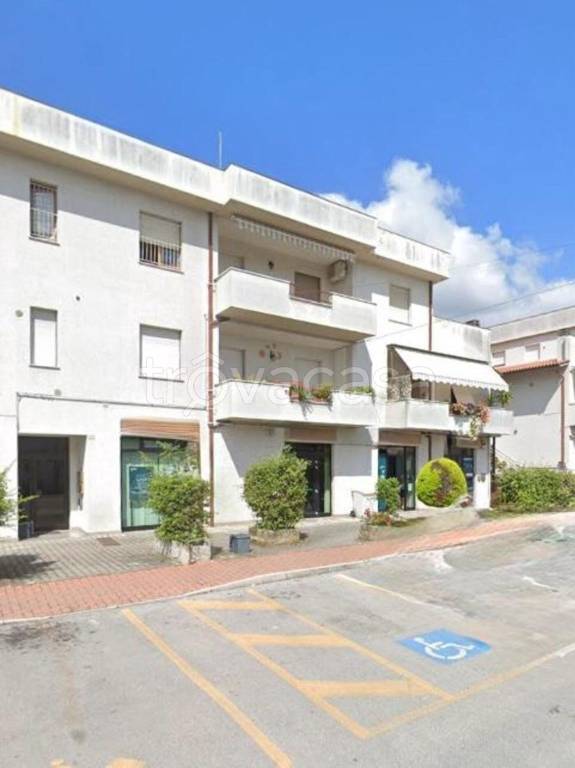 immagine annuncio 2 di 13