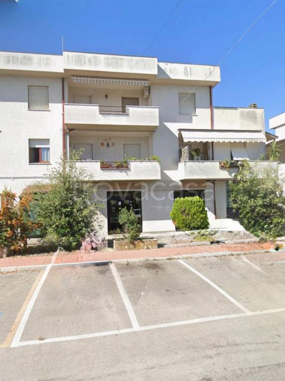 immagine annuncio 5 di 13