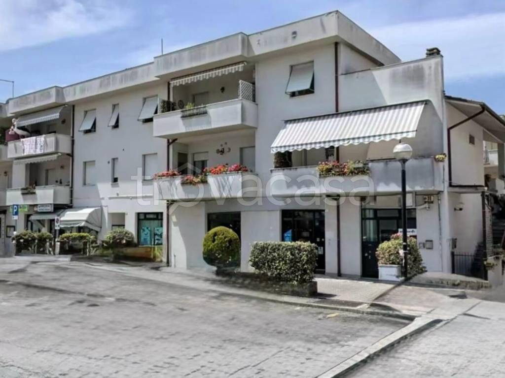 immagine annuncio 10 di 13